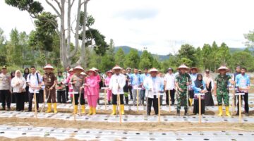Kapolres Gayo Lues Bersama Forkopimda Ikuti Penanaman Bawang Putih Serentak